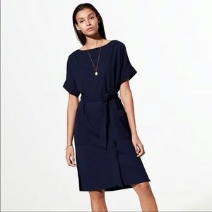 Aritzia Babaton Albin Dress